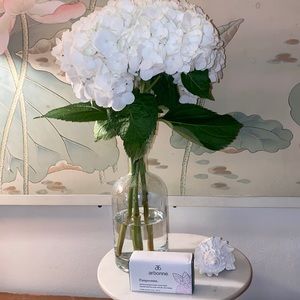 Arbonne Pampermint Exfoliating Foot Soap Bar ✨Brand New✨